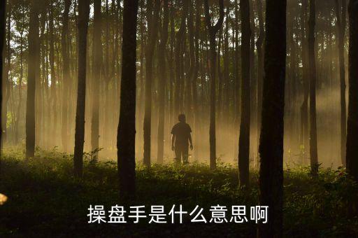股票里操盤手聯(lián)盟是什么意思，有哪位高人可以給我詳細解釋下操盤手是什么意思