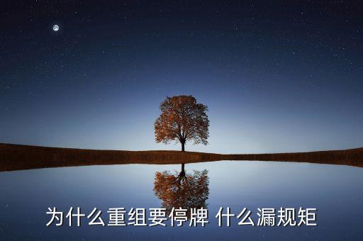 為什么湘潭電化重組暫停，湘潭電化股票停牌是什么意思