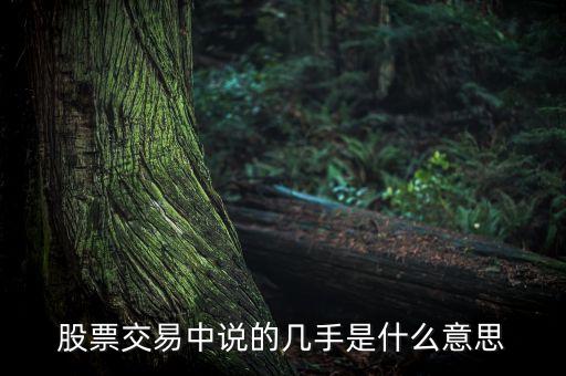 股票幾手是什么意思，股票的幾手是什么意思