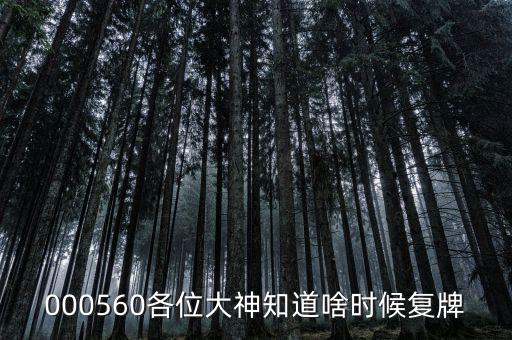 棟梁新材什么時(shí)候復(fù)牌，000560各位大神知道啥時(shí)候復(fù)牌