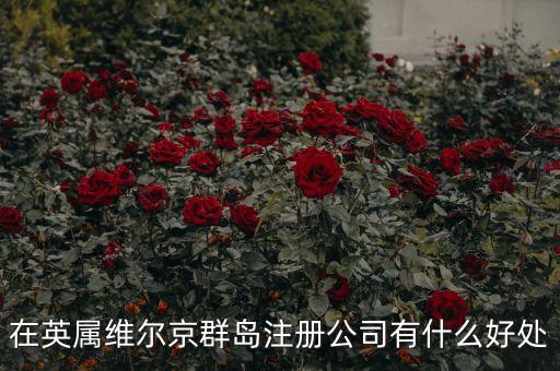 在英屬維爾京群島設(shè)立子公司有什么好處，設(shè)立子公司的好處有哪些