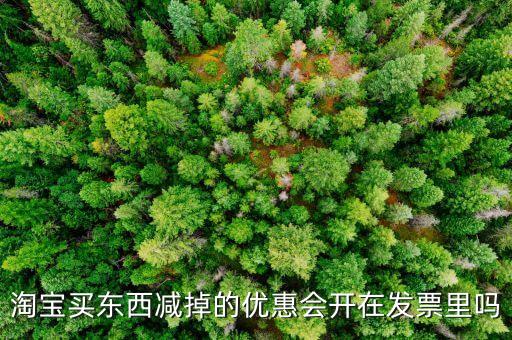 網(wǎng)店為什么貨票不同行，為什么網(wǎng)店賣的東西不能和發(fā)票一同送來