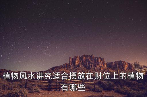 16年擺什么花利于財(cái)，客廳擺放什么花最吉利
