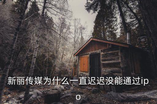 新麗傳媒什么時候上市，iP0上市名單新麗傳媒是不是不能上巿了
