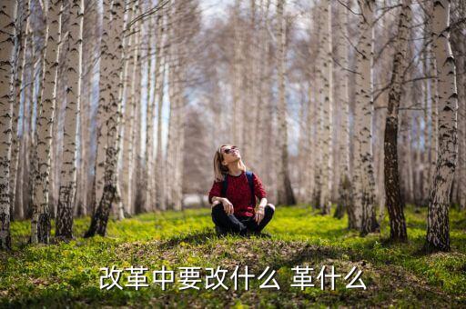 你認(rèn)為我國改革的重心應(yīng)是什么改，我國改革的任務(wù)決定了改革應(yīng)是 A 經(jīng)濟(jì)體制的改革 B 政治體制的改革