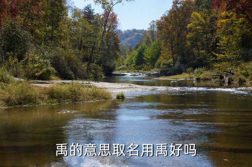 禹在名字中什么意思，名字里面帶個禹子好不 單禹字是什么意思有什么意義