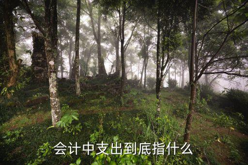 支出責(zé)任是什么意思，負擔(dān)是什么意思