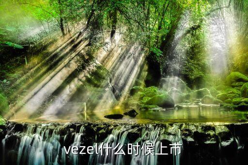 維珍妮集團什么時候上市，vezel什么時候上市