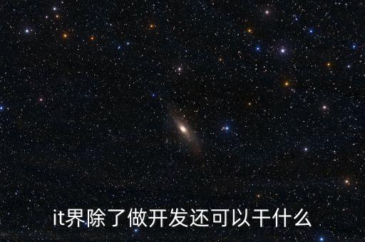 it界除了做開(kāi)發(fā)還可以干什么