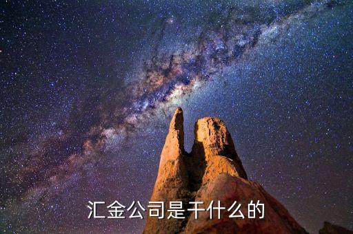 深圳惠程為什么匯金進駐，匯金公司是怎么回事