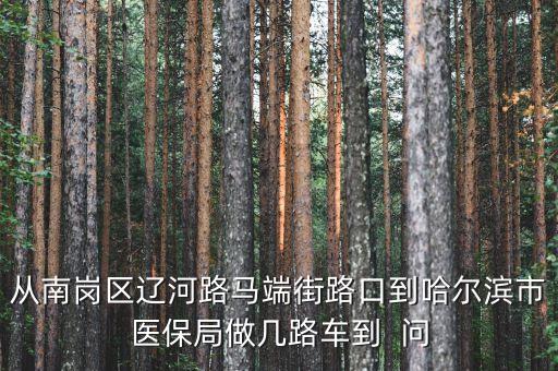 在哈站坐什么車到哈市醫(yī)保中心，從哈爾濱火車站坐幾路車能到市醫(yī)院