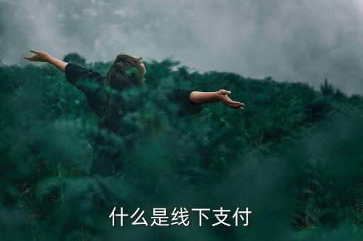 什么是線上線下支付，什么是線下支付