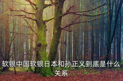 軟銀中國軟銀日本和孫正義到底是什么關(guān)系