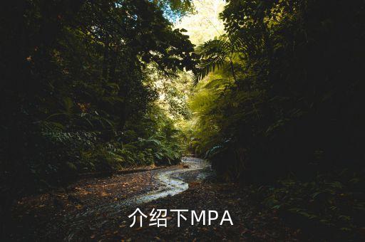 mpa投資是什么公司，mpa是什么單位