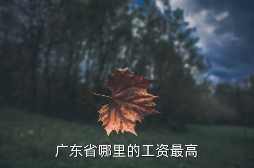 廣東工資最高什么地方，廣東什么地方打工工資最高