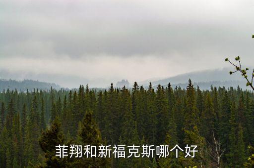 菲翔和新?？怂鼓膫€(gè)好