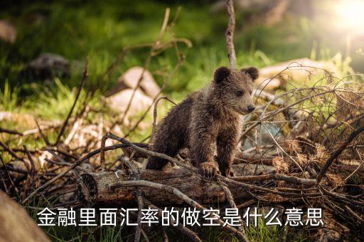 金融做空是什么意思，金融做空是什么意思