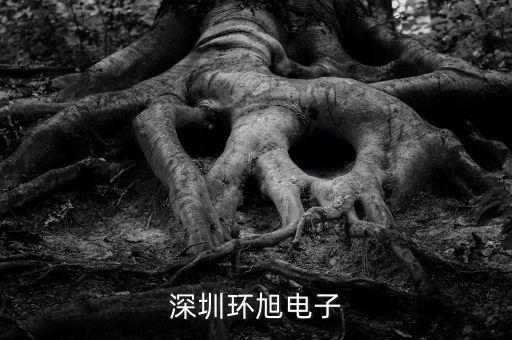 環(huán)旭電子經(jīng)營什么，上海環(huán)旭電子有限公司在什么地方