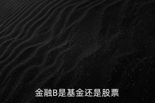 銀行b端是什么股票，金融B是基金還是股票