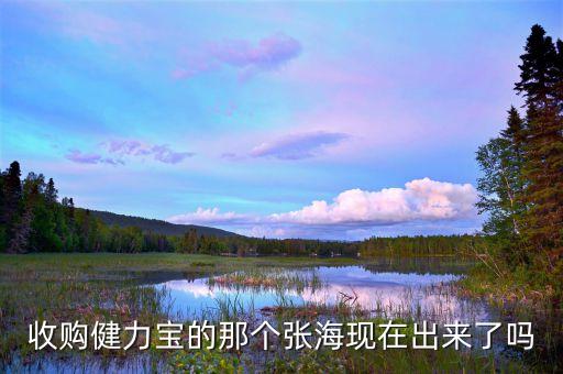健力寶什么時候賣給張海，收購健力寶的那個張?，F(xiàn)在出來了嗎