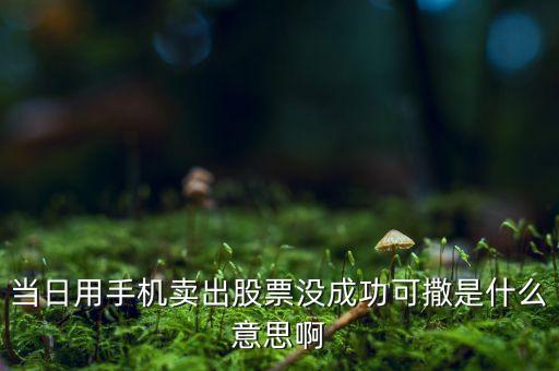當(dāng)日用手機賣出股票沒成功可撒是什么意思啊