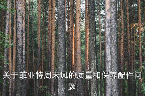 菲亞特為什么退出中國，關于菲亞特周末風的質量和保養(yǎng)配件問題