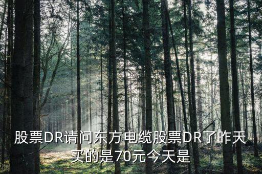 603606東方電纜屬于什么股票，丹 東 浪 頭 機(jī) 場(chǎng) 訂 票 熱 線 電 話 是 多 少