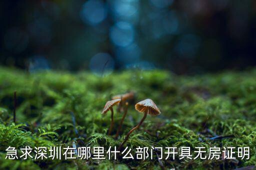 坪山國(guó)土局在什么地方，深圳哪座山比較有趣