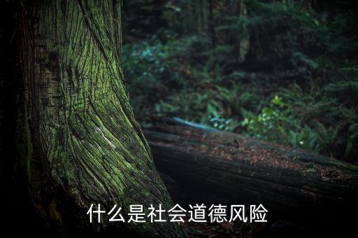 什么是社會風險，什么是社會道德風險
