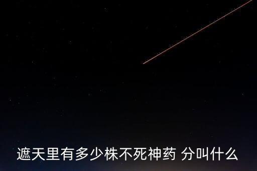 神藥代表什么，圣經(jīng)黃金沫藥什么含義