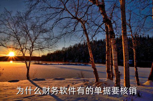 應付款核銷是什么意思，用友中核銷處理的意思是什么通俗點