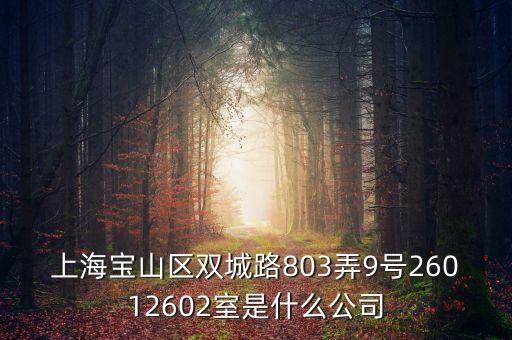 上海柏智方德是什么公司，上海寶山區(qū)雙城路803弄9號26012602室是什么公司