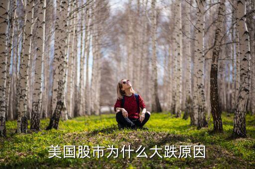美國(guó)的金融股票為什么大幅下跌，為什么美金會(huì)跌的這么快