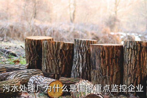 重點(diǎn)監(jiān)控企業(yè)為什么，稅務(wù)局來電要我們公處理重點(diǎn)監(jiān)控是什么意思