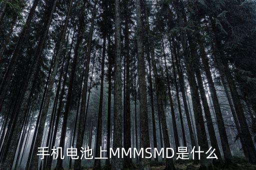 什么是電力儲(chǔ)能，手機(jī)電池上MMMSMD是什么