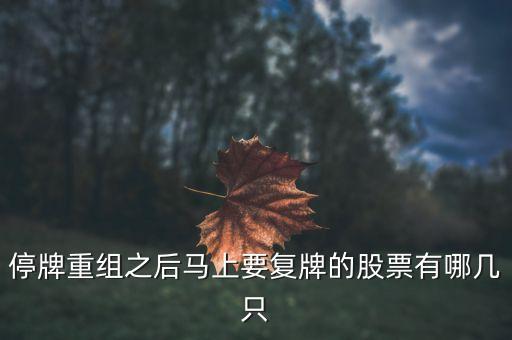 002306什么時(shí)候復(fù)牌，停牌重組之后馬上要復(fù)牌的股票有哪幾只