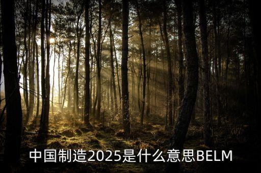 2025規(guī)劃是什么，中國制造2025是什么意思BELM