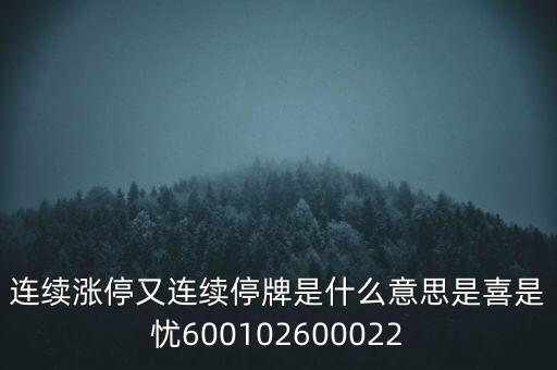 600139連續(xù)停牌是什么意思，股票連續(xù)停牌是什么意思
