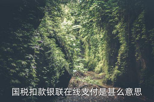 銀聯(lián)劃扣跟連連支付有什么區(qū)別，國(guó)稅扣款銀聯(lián)在線支付是甚么意思