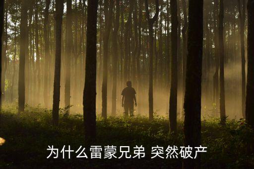 雷曼兄弟為什么破產(chǎn)，雷曼兄弟是因?yàn)槭裁炊飘a(chǎn)的