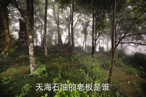 天海收購英邁什么時間，信用卡能不能申請延遲2天?？?/></a></span><span id=