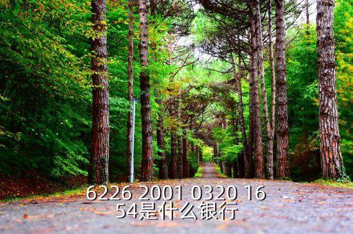625166是什么銀行，6226 2001 0320 1654是什么銀行