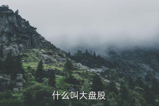 大盤股是什么意思，什么是大盤股