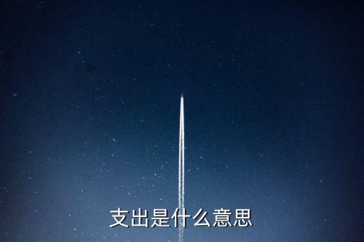 什么是下甩支出，請問會計里面的甩帳是什么意思