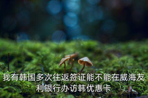 訪韓優(yōu)惠卡有什么作用，我有韓國多次往返簽證能不能在威海友利銀行辦訪韓優(yōu)惠卡