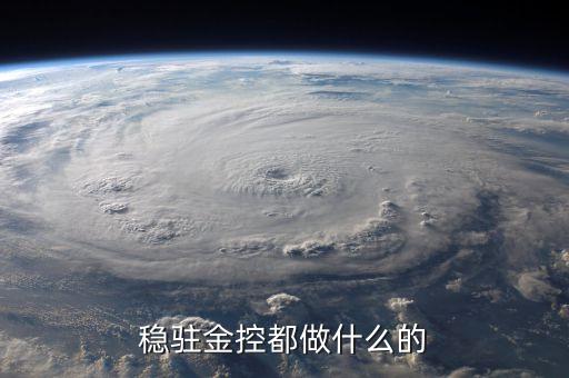 金控公司是干什么的，金控集團(tuán)是干什么的