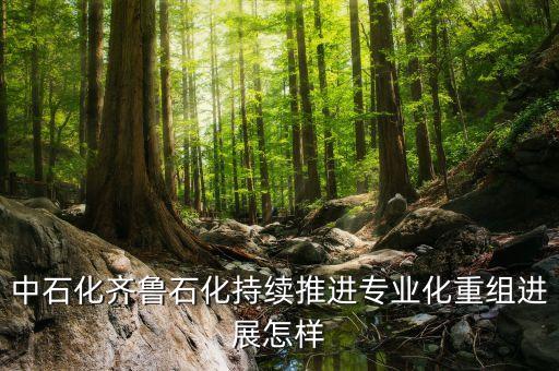 專業(yè)化重組是什么，股票中的重組是什么意思意味者什么對于持股人來說是好是壞