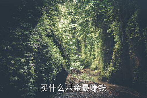 買什么基金賺錢，買什么樣的基金能賺錢