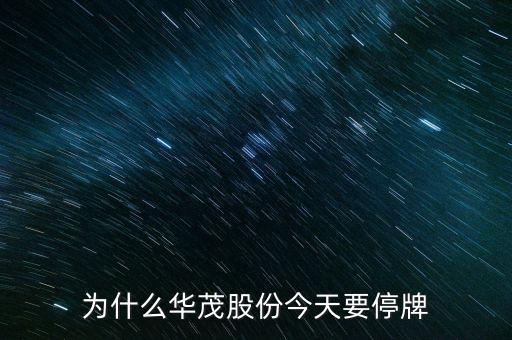 600366今日為什么停牌，600636為什么會(huì)停牌