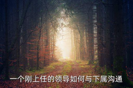 新任董事長應該做什么，董事會換屆選舉怎么做